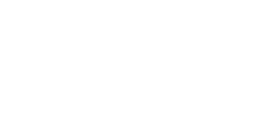 Logo DocuIndexa 02negativo footer